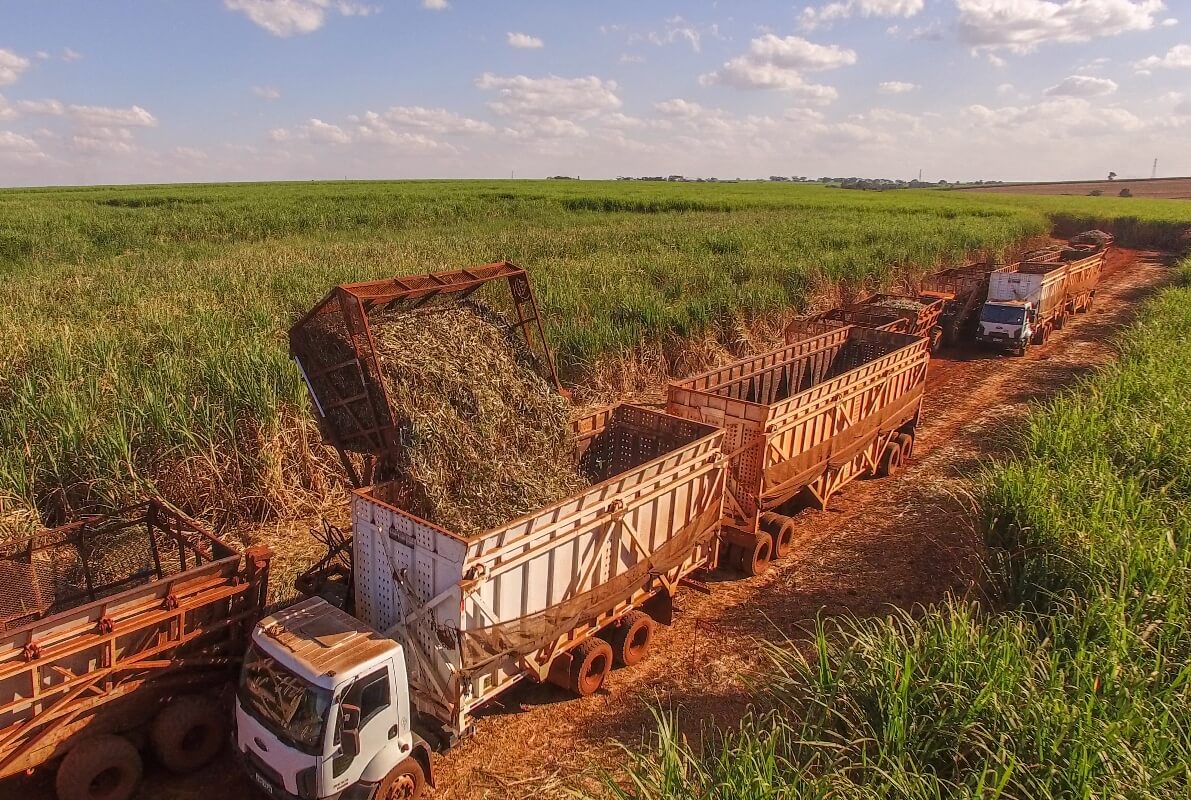 Exportação de açúcar do Brasil fica perto do recorde; exportação de carne dispara